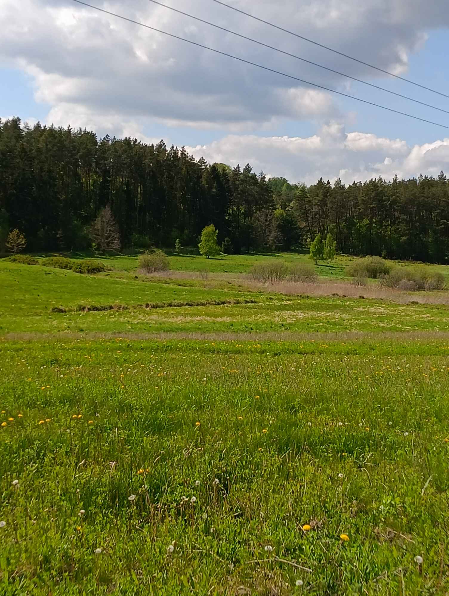 Działki Kętrzyn - zdjęcie 2