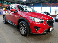 4x4 TYLKO 91TYŚ KM Krajowy 100% BEZWYPADKOWY Serwisowany w ASO Mazda Mysłowice - zdjęcie 7