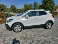 Opel Mokka benzyna półskórka navi kamera 1.4 benzyna 135 tys przebieg Drelów - zdjęcie 9