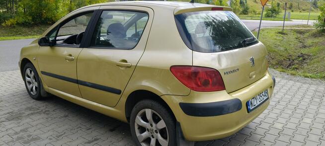 Peugeot 307 Stare Budy - zdjęcie 10