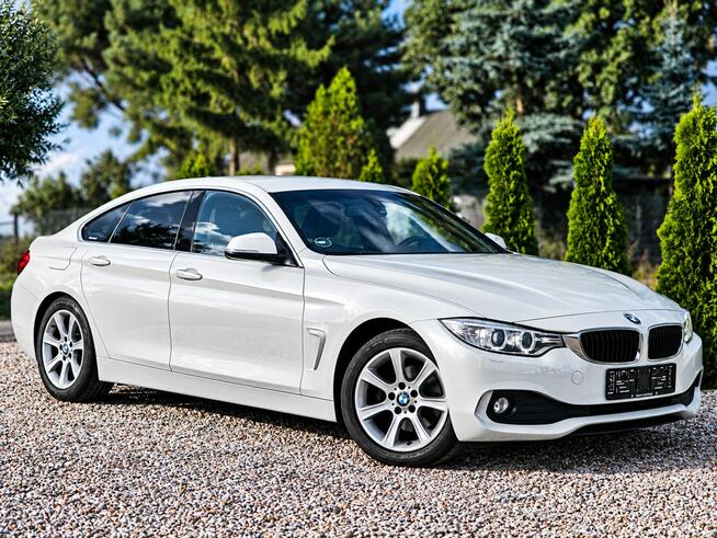 BMW 420 Sadlno - zdjęcie 3