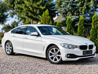 BMW 420 Sadlno - zdjęcie 3