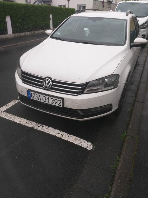 Mega Passeratti B7 Cedry Małe - zdjęcie 4