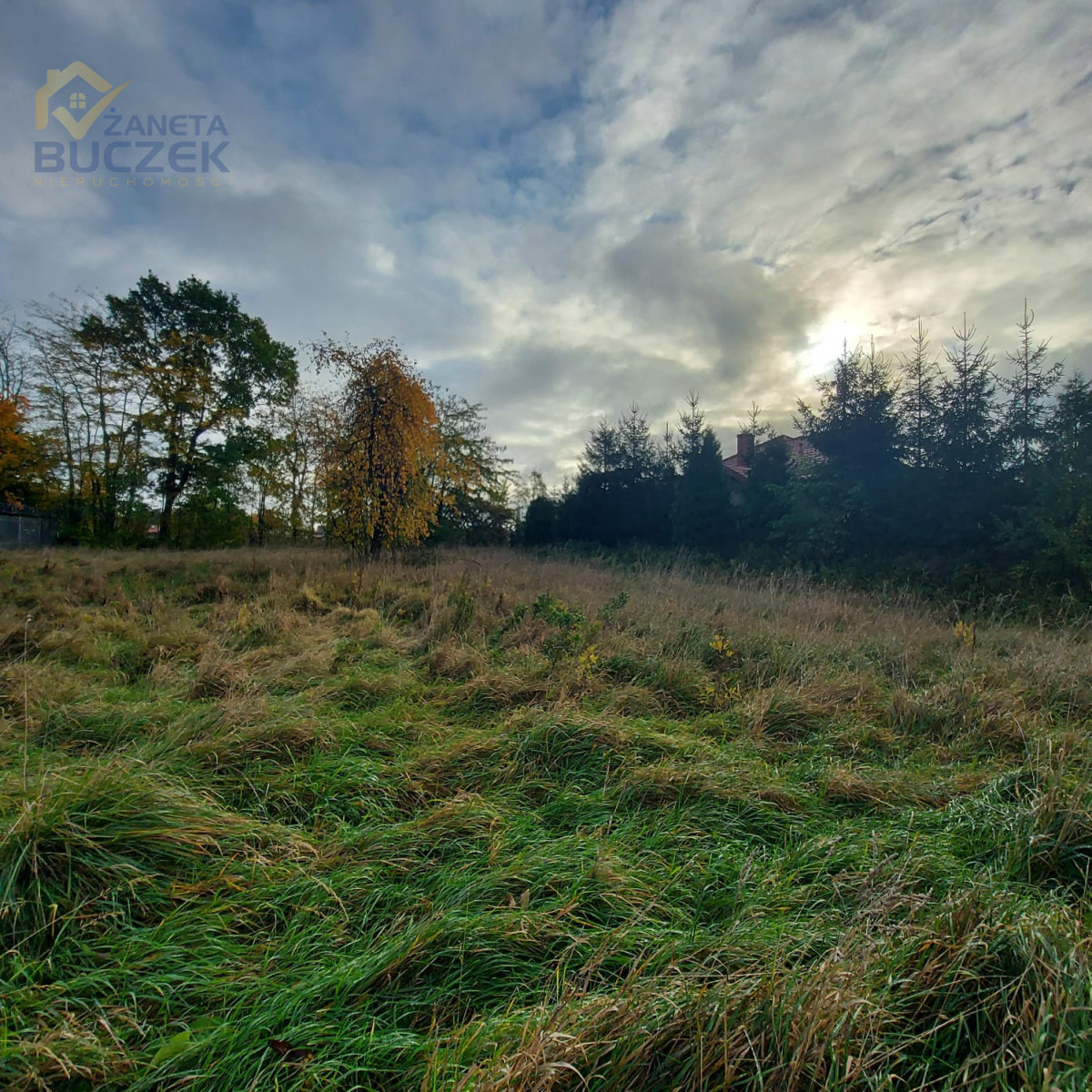 Działka budowlana Nieborów powiat łowicki Nieborów - zdjęcie 3