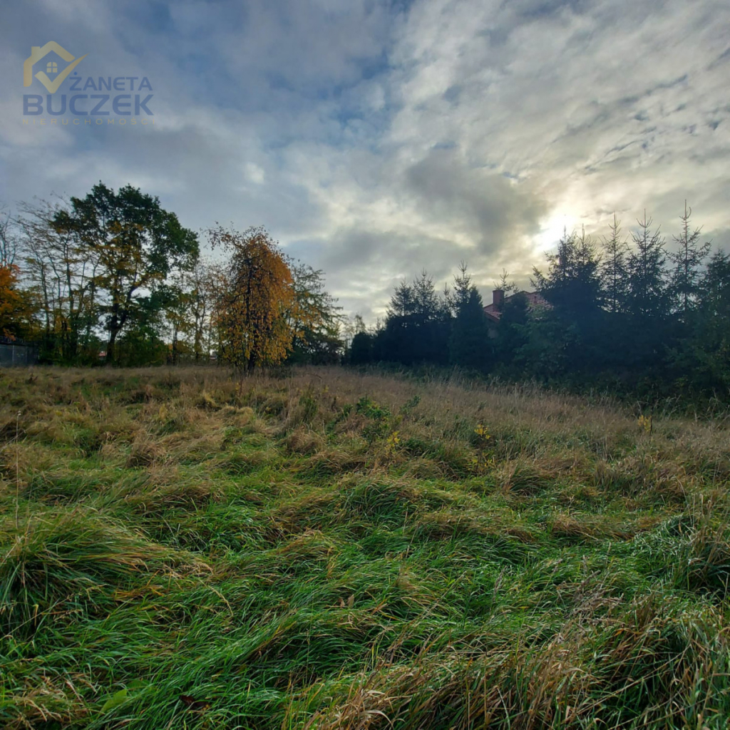 Działka budowlana Nieborów powiat łowicki Nieborów - zdjęcie 3