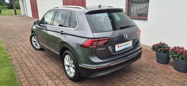 Volkswagen Tiguan Ambilight-Panorama-hak-TDI Paproć - zdjęcie 5