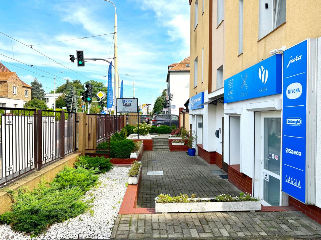 2 domy przy Cytadeli | czytelny adres Poznań - zdjęcie 1