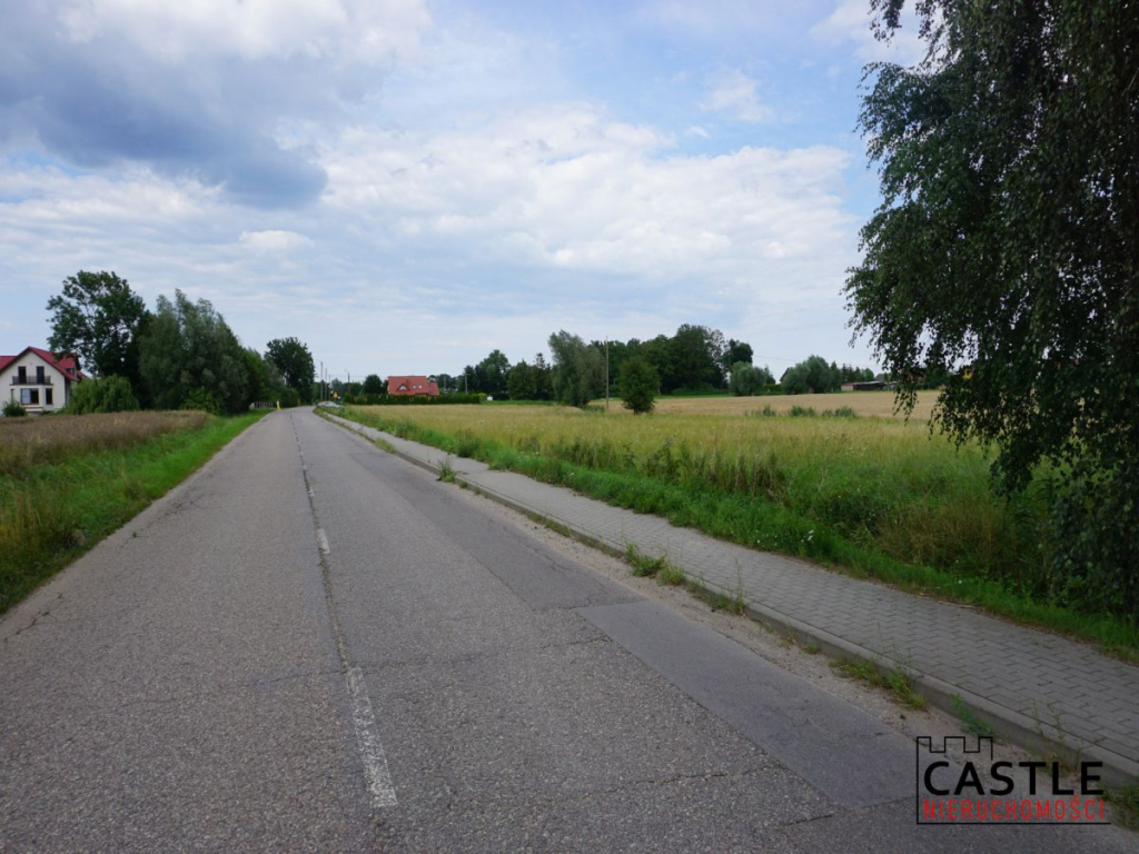 Działka 6303 m² | Bogatka koło Gdańska Bogatka - zdjęcie 6