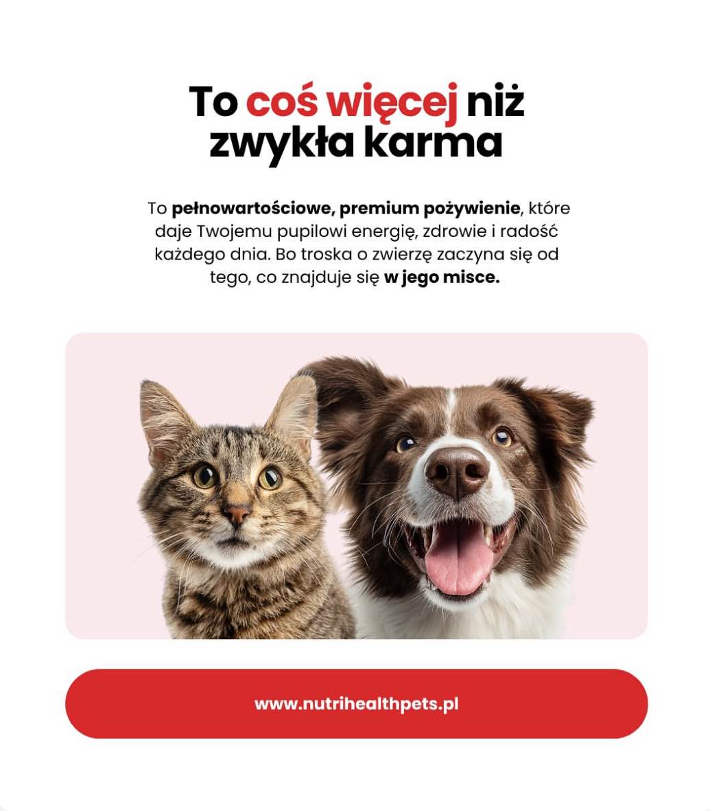 Nutrihealthpets sucha karma bezzbozowa dla psa 12kg. Lublin - zdjęcie 2