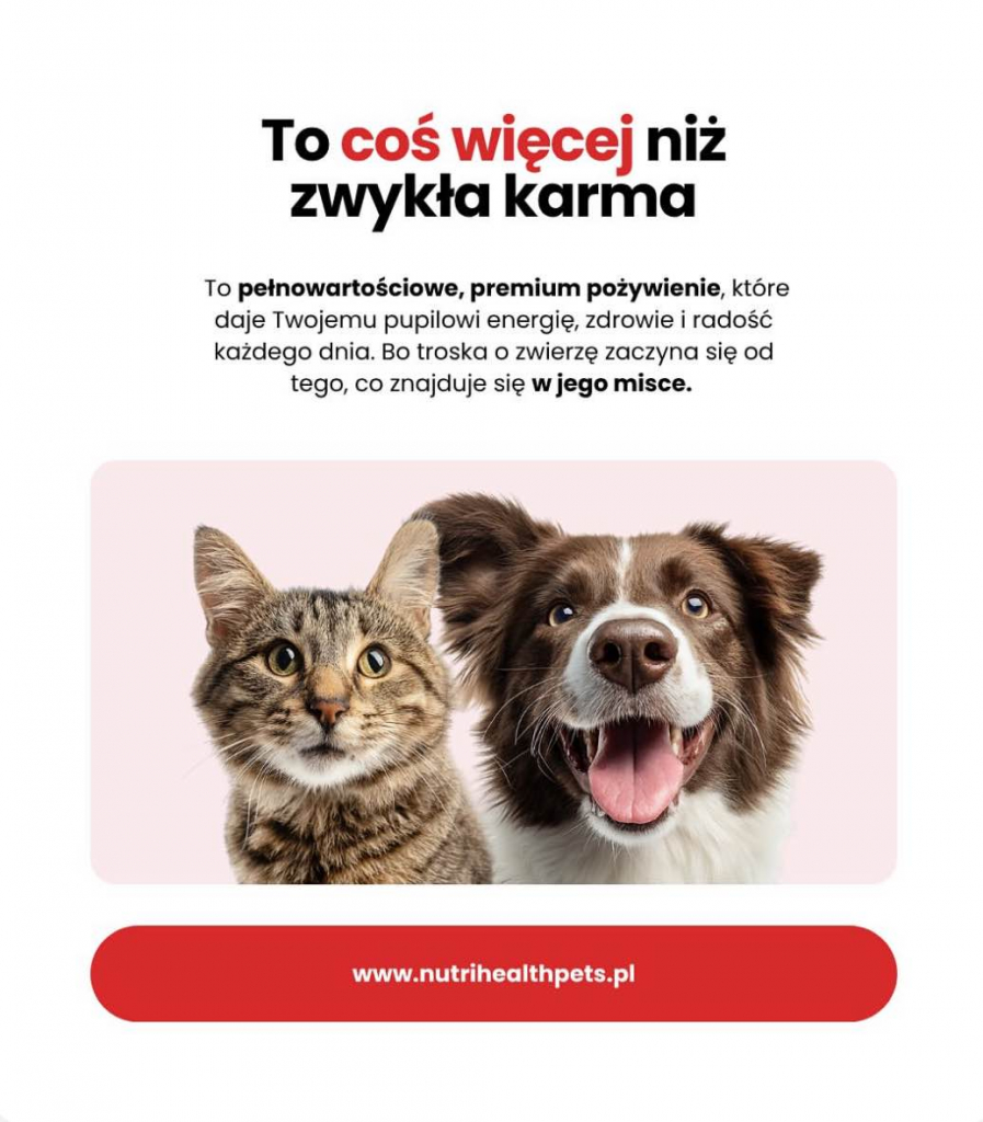 Nutrihealthpets sucha karma bezzbozowa dla psa 12kg. Lublin - zdjęcie 2