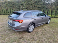 Skoda Octavia 2023 1.0 TSI e-TEC HYBRYDA automat orginalny przebieg Nowy Sącz - zdjęcie 4