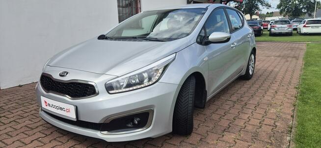 Kia Cee'd LED-MEDIA Paproć - zdjęcie 3