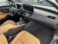 Lexus ES300 Exclusive Navi Aut.Skóry 300h Gliwice - zdjęcie 9
