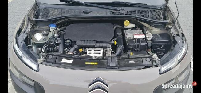 Cactus Przed zakupem sprawdz go w garażu samoobsługowym Kraków - zdjęcie 8