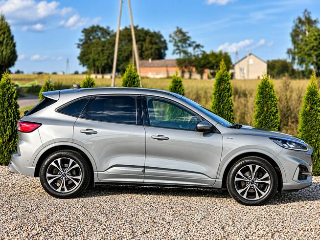 Ford Kuga Sadlno - zdjęcie 4