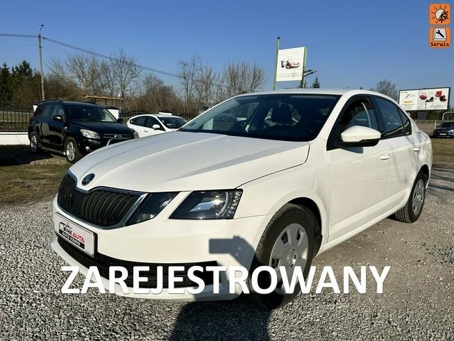 Škoda Octavia Nowe Iganie - zdjęcie 1