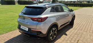 Opel Grandland SALON-BEZWYPADKOWY-BOGATA WERSJA Paproć - zdjęcie 9