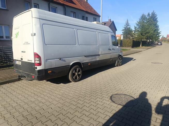 Sprzedam Ścinawa - zdjęcie 7