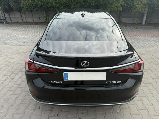 Lexus ES300 Zielona Łąka - zdjęcie 2