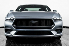 Mustang EcoBoost Katowice - zdjęcie 3