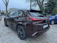 Lexus UX 250H 43 tyś km Ast. Pasa Distronic kamera Super Otwock Mały - zdjęcie 5
