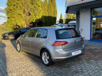 Volkswagen Golf Rezerwacja Tarnowskie Góry - zdjęcie 8