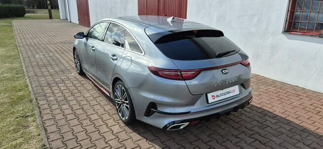 Kia Pro_cee'd Paproć - zdjęcie 6