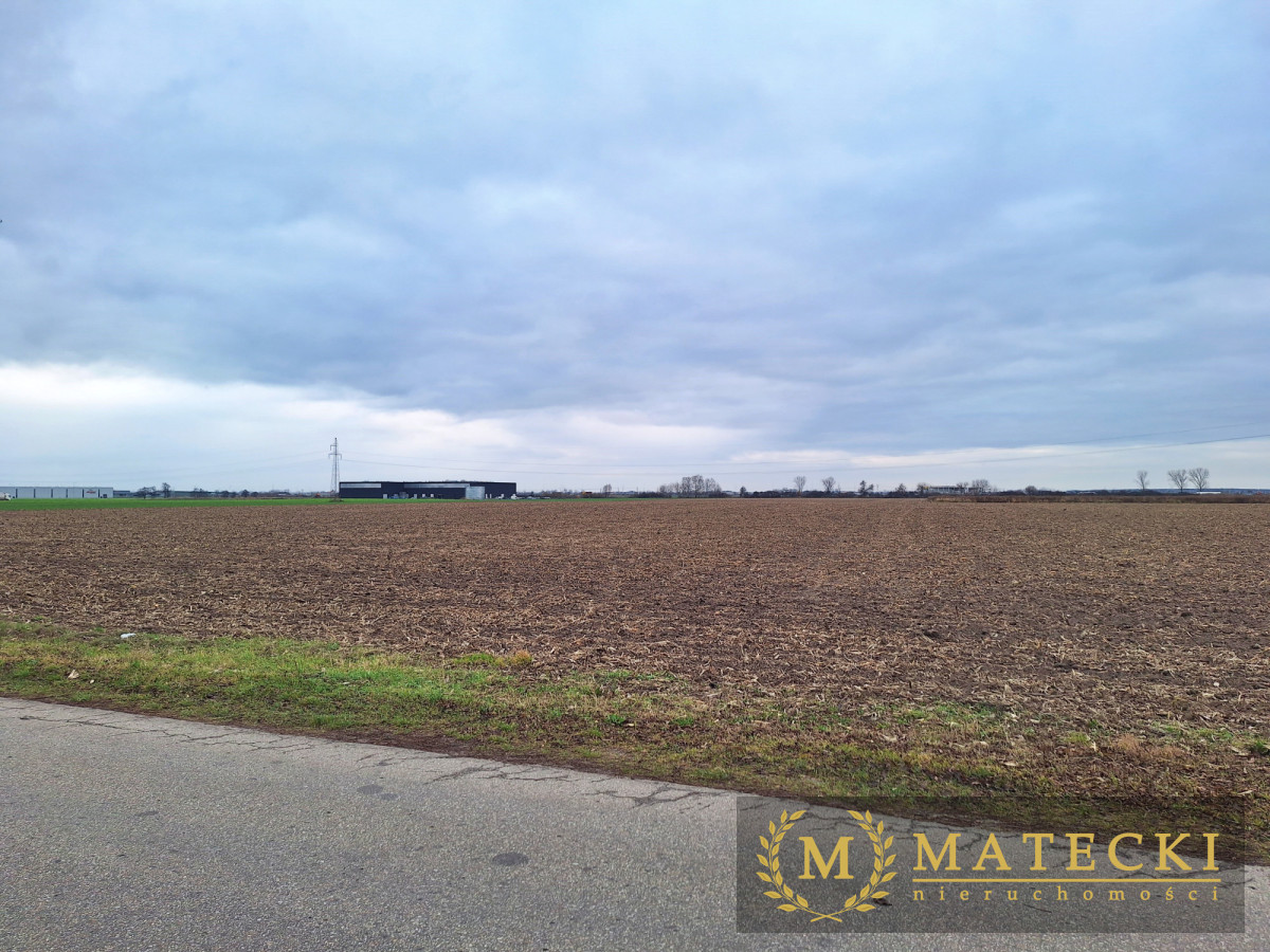 Działka AG  - 7 km od Poznania Tulce - zdjęcie 3