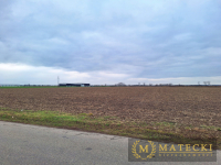 Działka AG  - 7 km od Poznania Tulce - zdjęcie 3