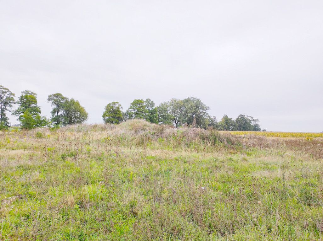 Działki pod budowę hali z biurem - inwestycja! Chomęcice - zdjęcie 1