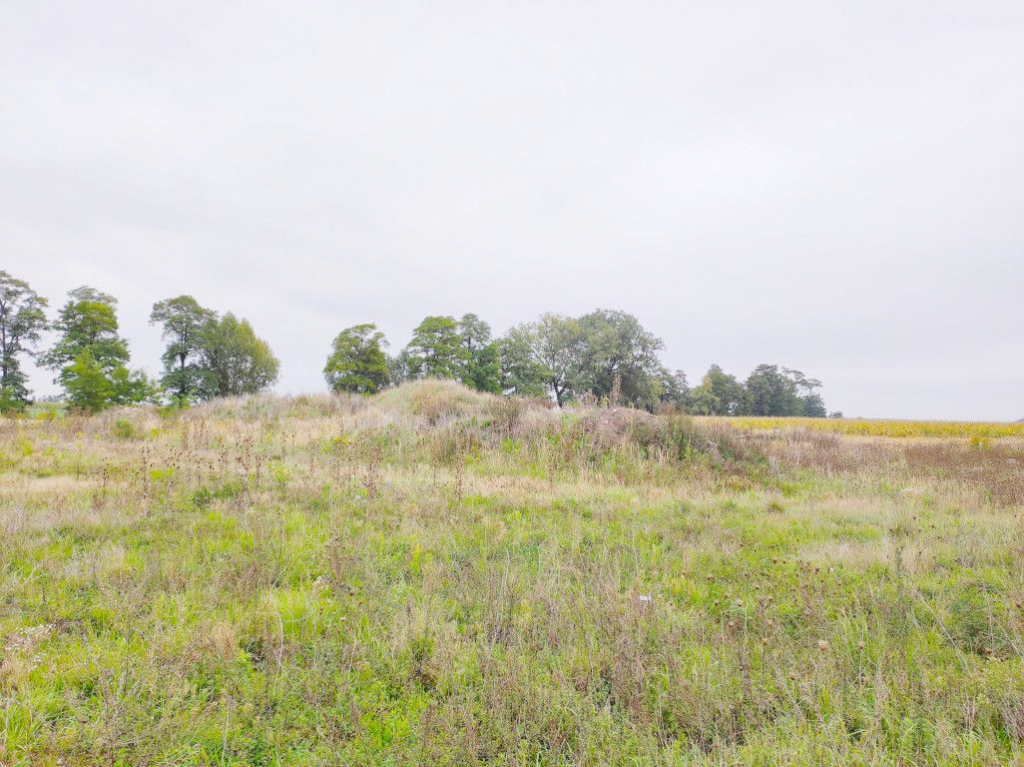 Działki pod budowę hali z biurem - inwestycja! Chomęcice - zdjęcie 1
