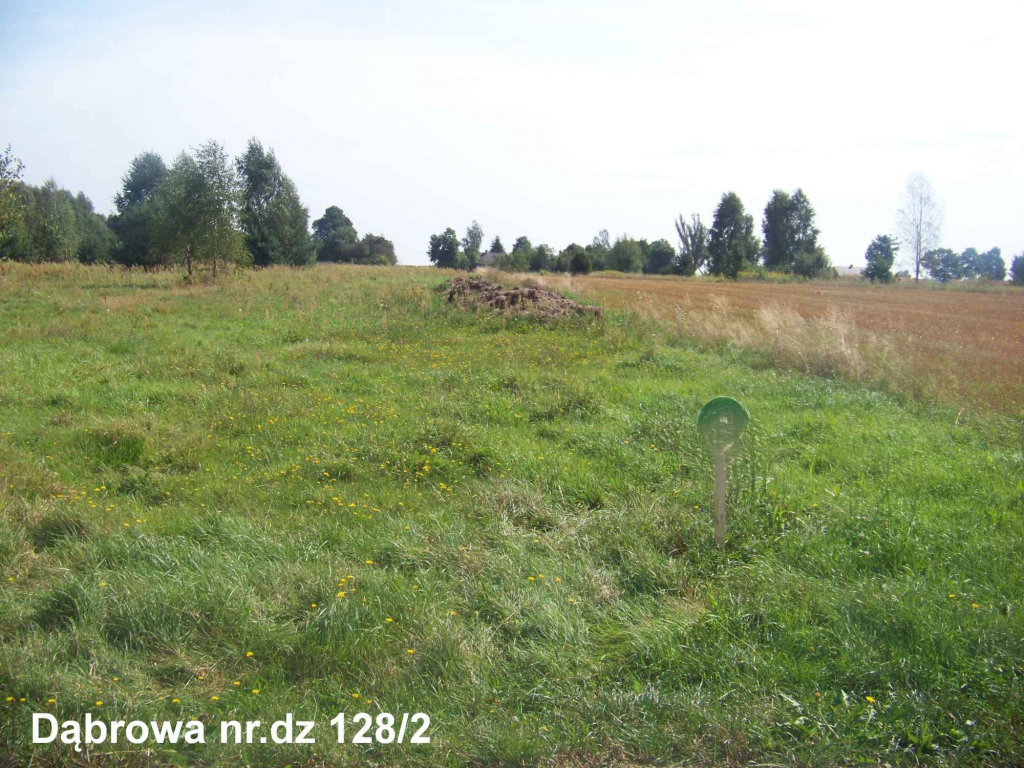 Działka na sprzedaż Dąbrowa gm. Mrozy Mrozy - zdjęcie 1