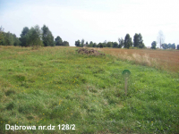 Działka na sprzedaż Dąbrowa gm. Mrozy