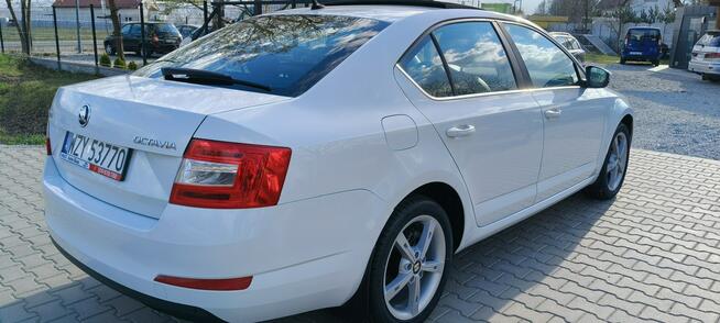 Škoda Octavia Bogate wyposaż. tylko 70tkm. ! 4-cylindry polecam Stare Budy - zdjęcie 6