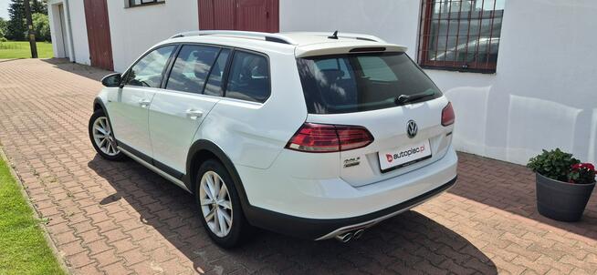 Volkswagen Golf Alltrack Zarejestrowany Paproć - zdjęcie 7