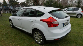 Ford Focus zarejestrowany i piękny . Gwarancja Zielona Góra - zdjęcie 7