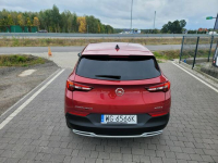 Opel Grandland X Lipówki - zdjęcie 10