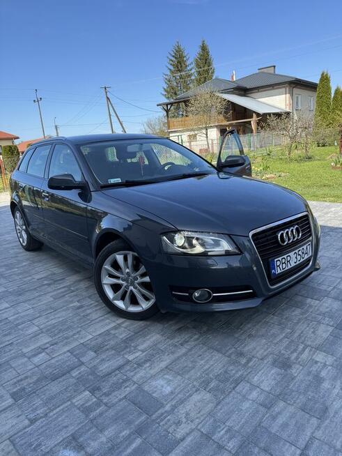 Audi A3 8P 1.6 - Świetny stan i ekonomiczny silnik Humniska - zdjęcie 4