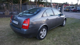 Nissan Primera zarejestrowany, ubezpieczony. Gwarancja. Polecam !!! Zielona Góra - zdjęcie 5