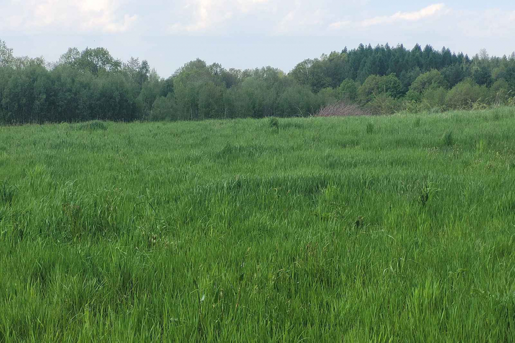 Działka budowlana w Centrum Dominikowic (w.małopolskie) Dominikowice - zdjęcie 2