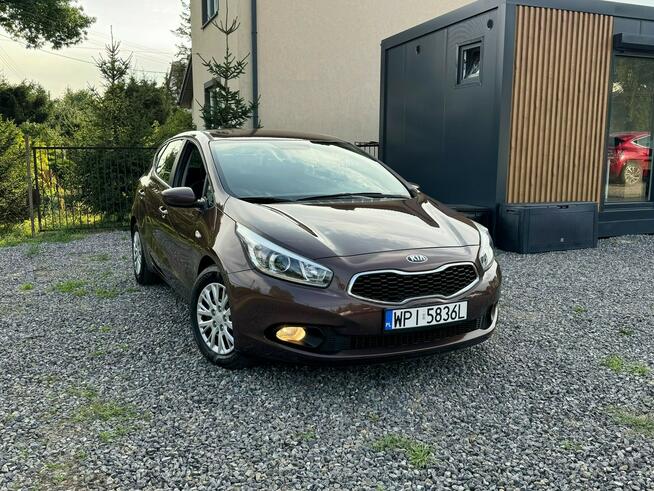 Kia Ceed 1.4 benzyna, piękny kolor, stan wzorowy. Gołków - zdjęcie 11