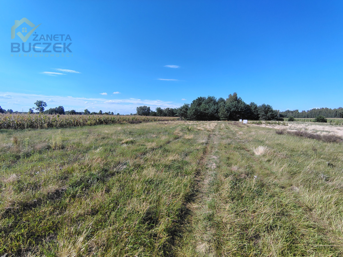 Atrakcyjna działka 1450 m² z MPZP | Dachowa | Dachowa - zdjęcie 4