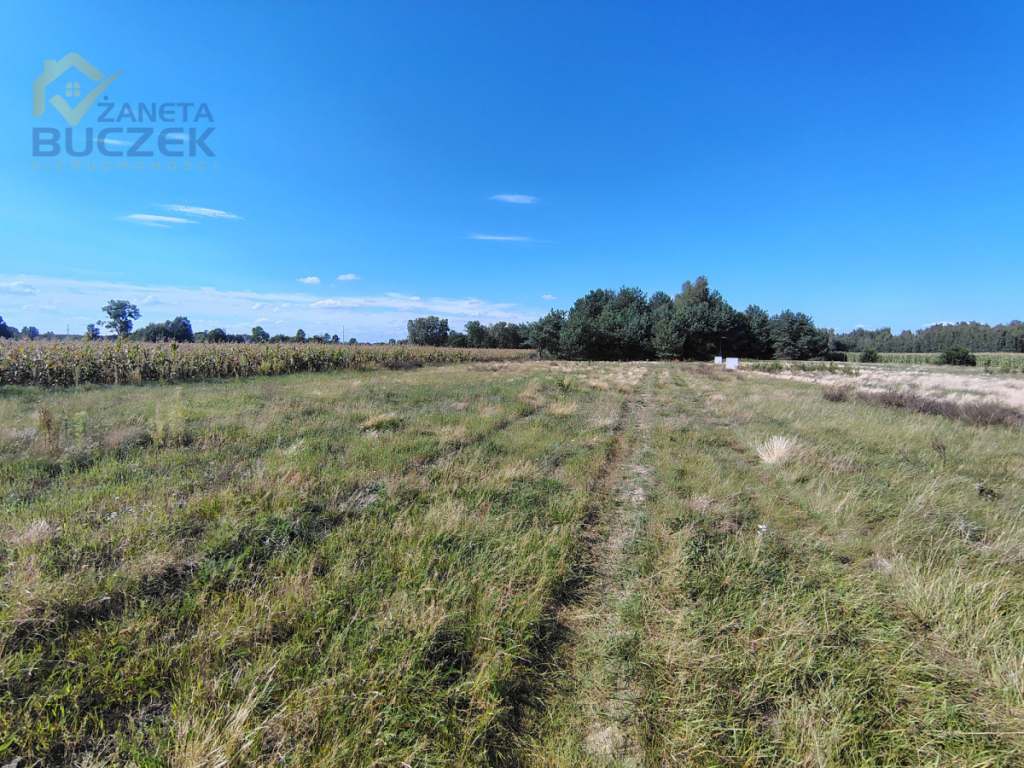 Atrakcyjna działka 1450 m² z MPZP | Dachowa | Dachowa - zdjęcie 4