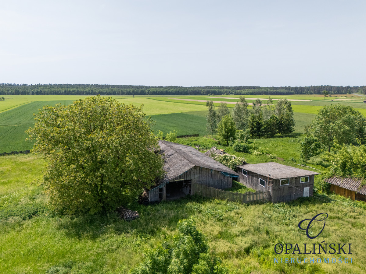 Działka budowlana 63 ar | uzbrojona | z budynkami Stare Sioło - zdjęcie 12