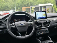 Ford Kuga 1.5 EcoBlue 120KM Titanium / Salon PL I-właściciel Skępe - zdjęcie 8