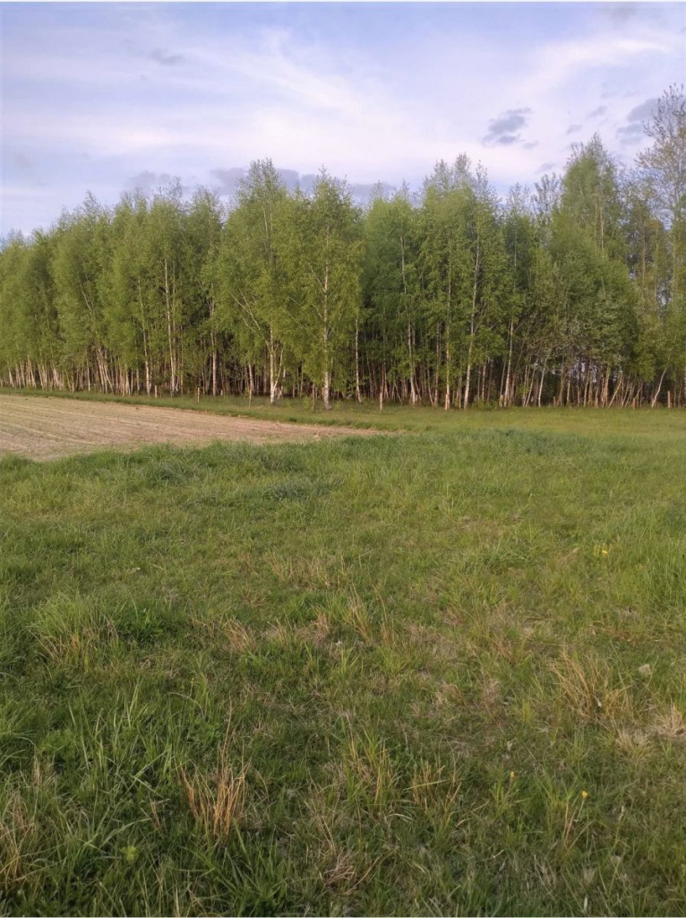 Atrakcyjne Działki Rafałówka Rafałówka - zdjęcie 4