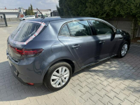 Renault Megane Zielona Łąka - zdjęcie 4
