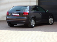 Audi A3 Klimatronic /I Właść /1,4 /125KM /2011 /Lift Mikołów - zdjęcie 12