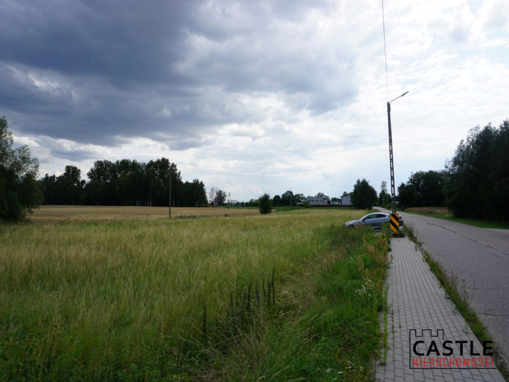 Działka 6303 m² | Bogatka koło Gdańska Bogatka - zdjęcie 1