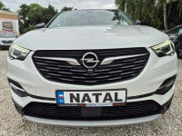 Opel Grandland X ******REZERWACJA*********** Bydgoszcz - zdjęcie 6
